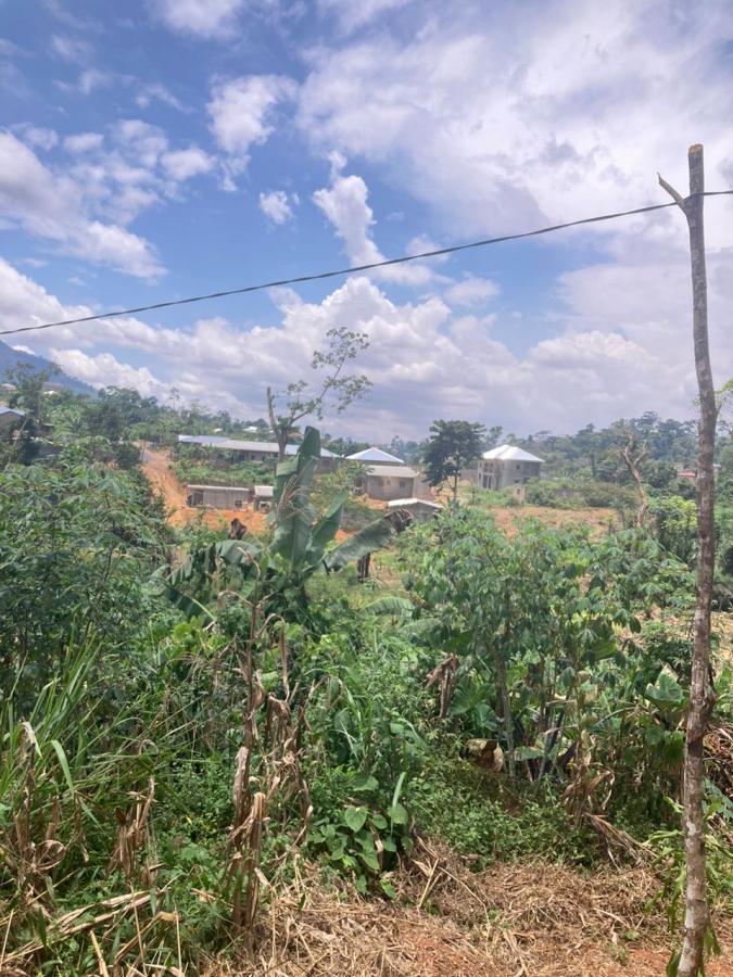 Vente Terrain YAOUNDE CAMEROUN  