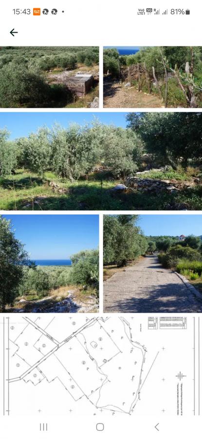 Vente Terrain THASSOS GRECE  