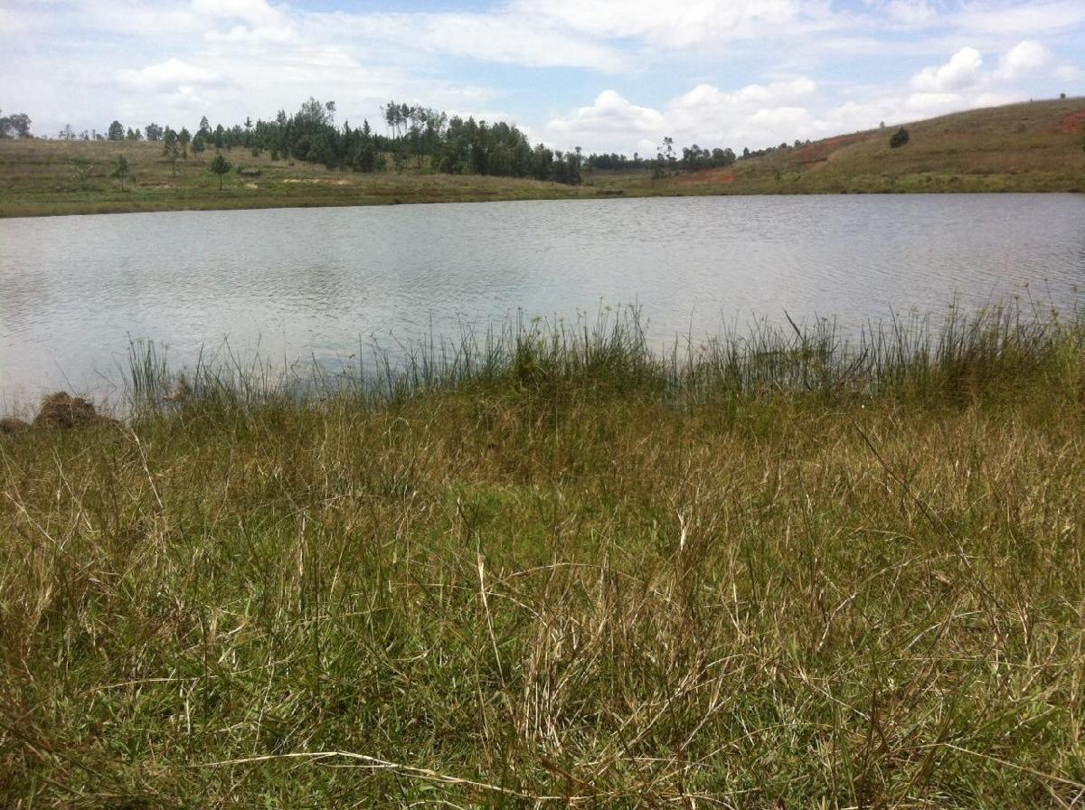 Vente&nbsp;Terrain&nbsp;ANDRANOVELONA - FIHAONANA &nbsp;MADAGASCAR&nbsp;&nbsp;