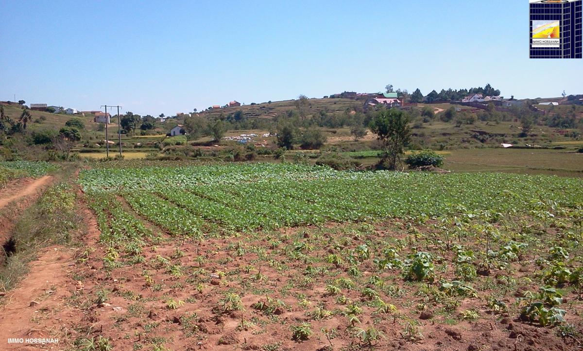 Vente Terrain ANTANANARIVO MADAGASCAR  