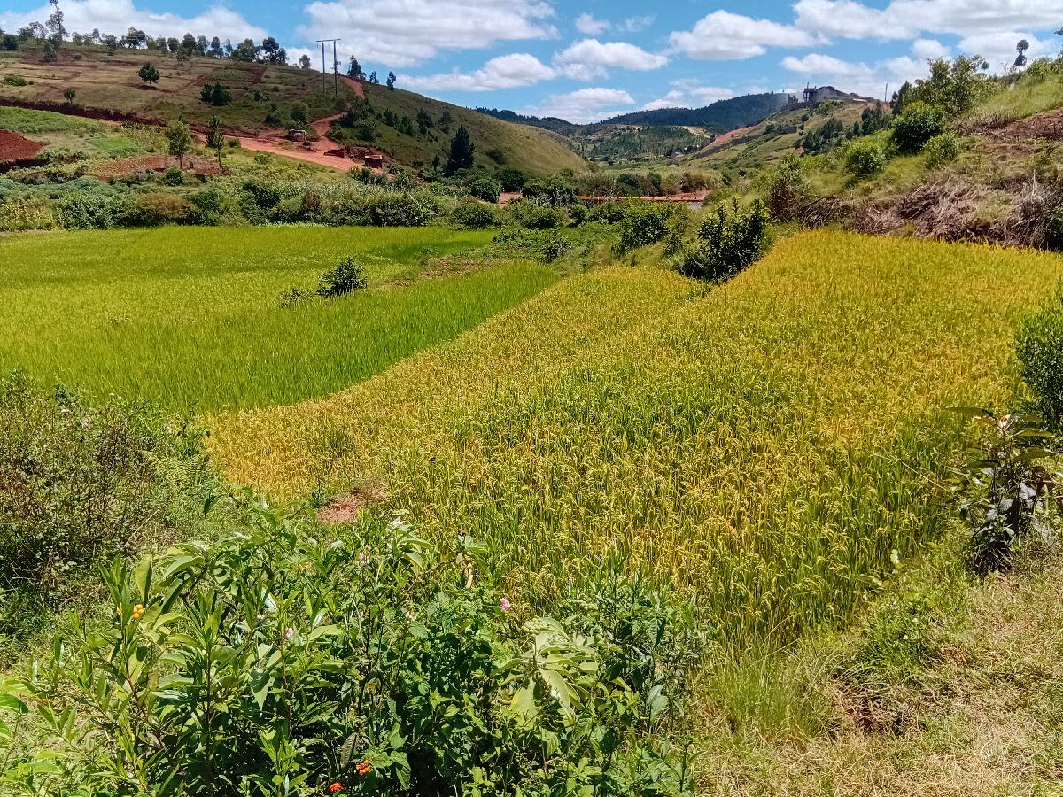 Vente Terrain ANTANANARIVO MADAGASCAR  