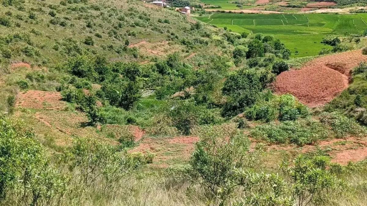 Vente Terrain ANTANANARIVO MADAGASCAR  