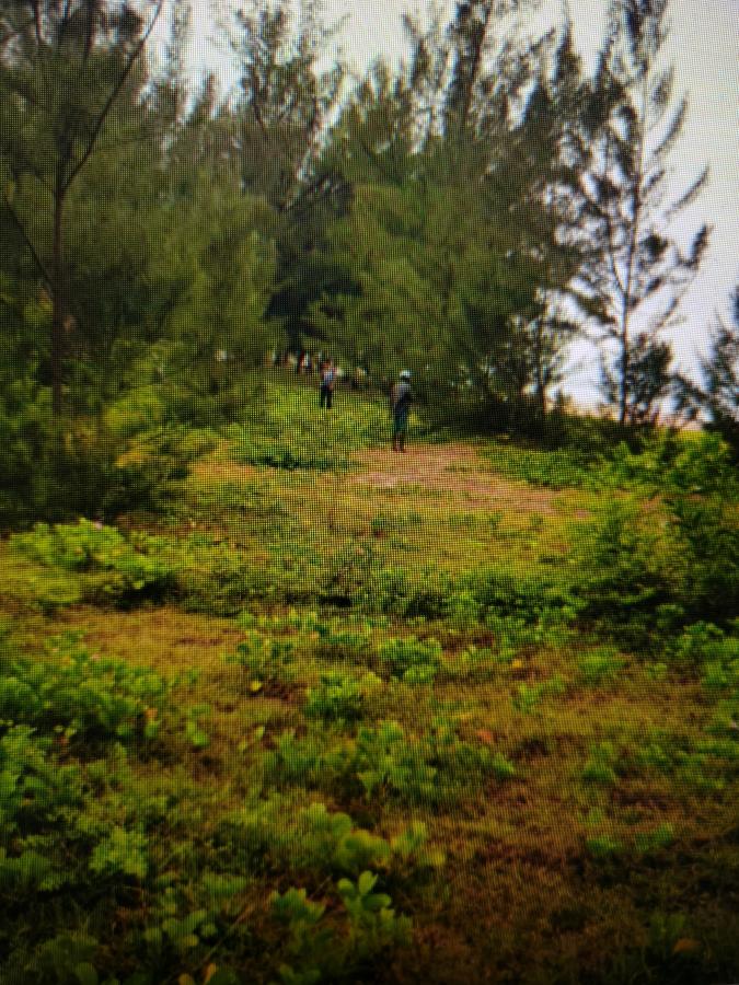 Vente&nbsp;Terrain&nbsp;FOULPOINTE&nbsp;MADAGASCAR&nbsp;&nbsp;