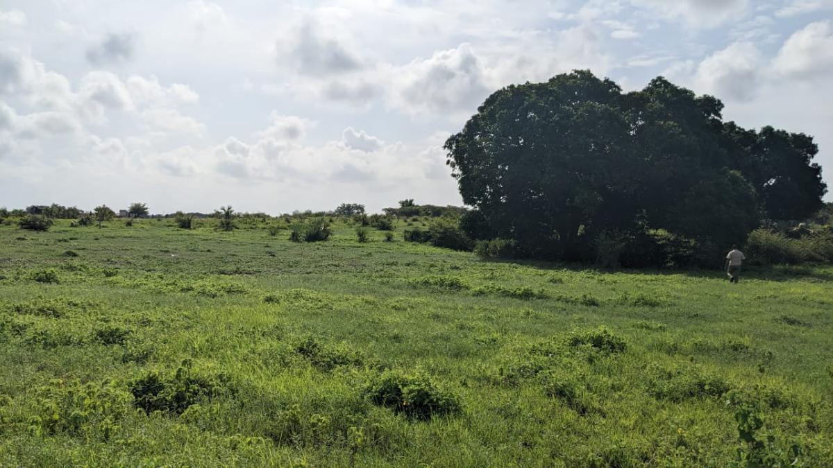 Vente Terrain MAHAJANGA MADAGASCAR  