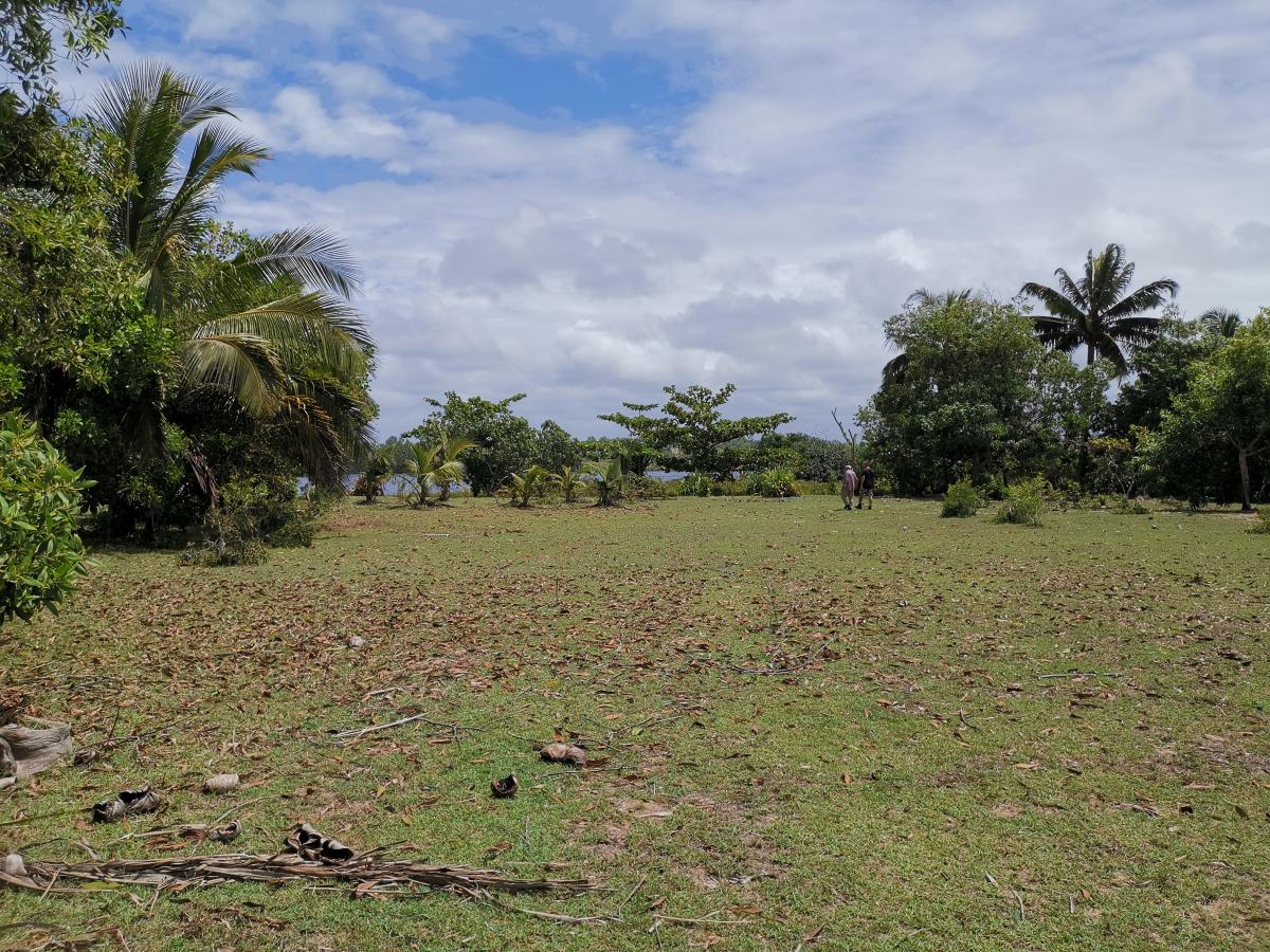 Vente Terrain MANAKARA MADAGASCAR  