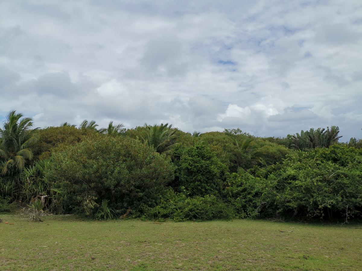 Vente Terrain MANAKARA MADAGASCAR  