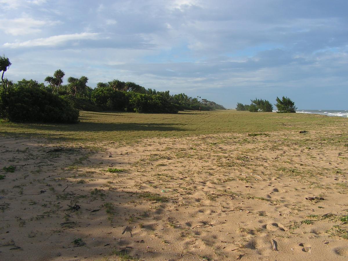 Vente Terrain MANAKARA MADAGASCAR  