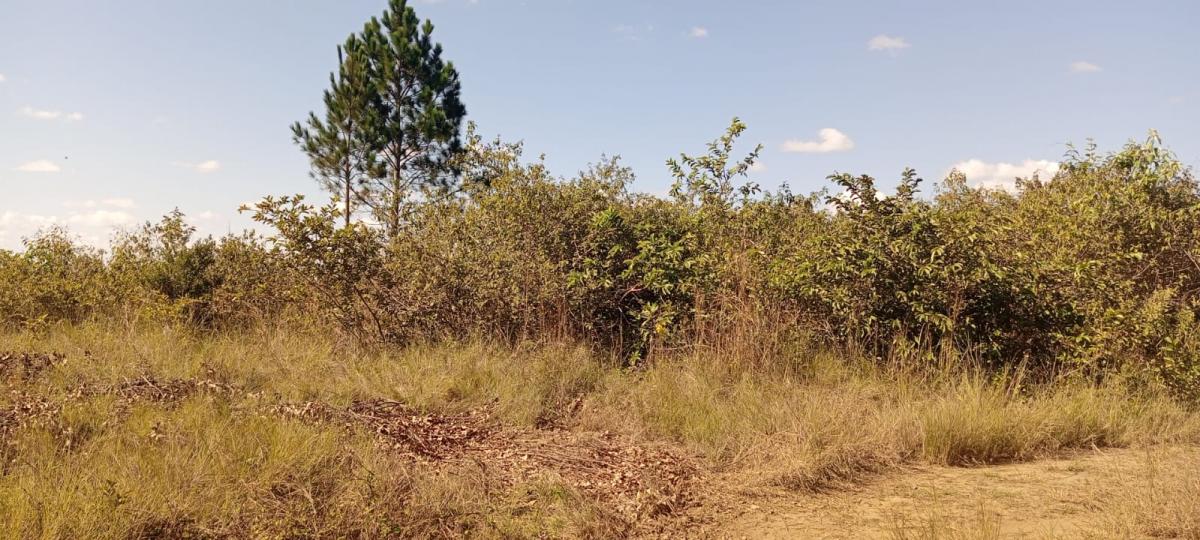 Vente Terrain MORAMANGA MADAGASCAR  