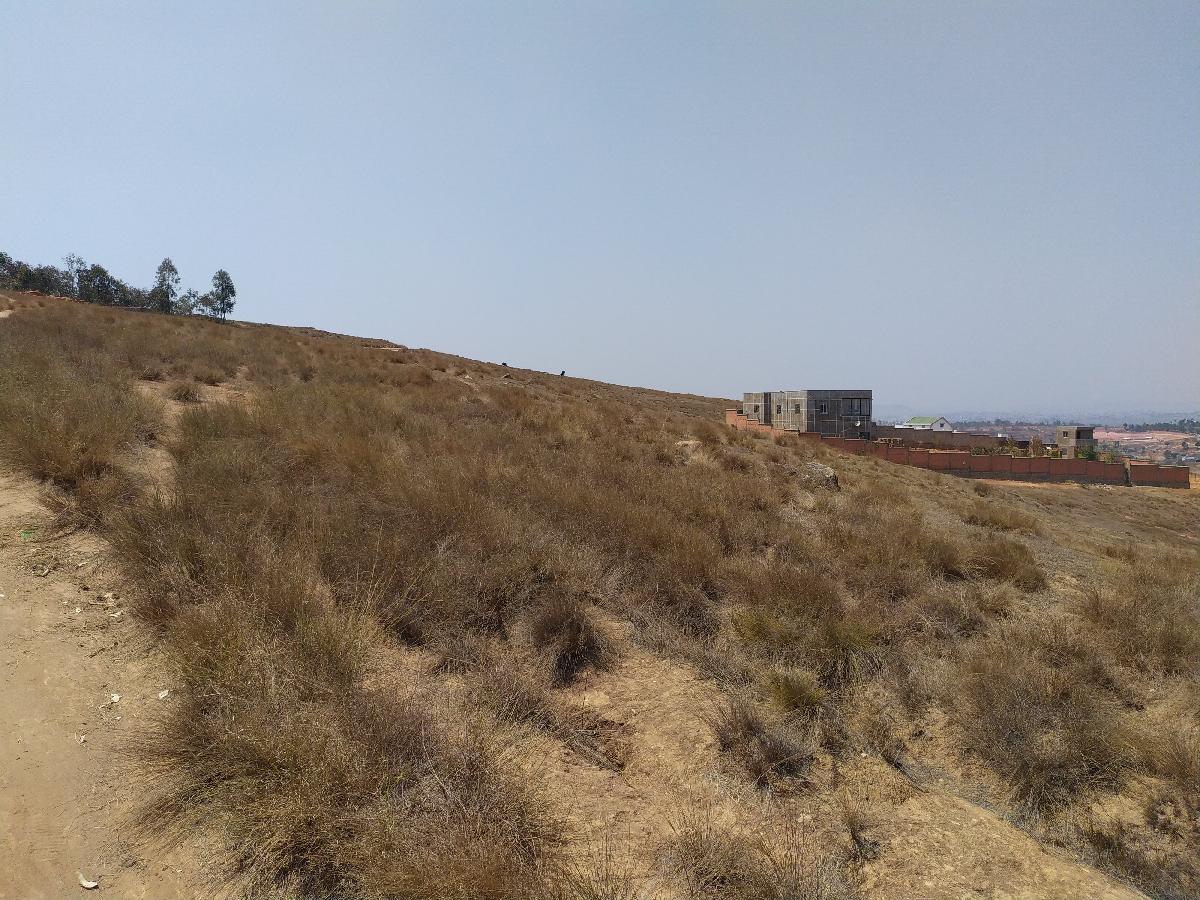 Vente Terrain MORARANO ALAKAMISY FENOARIVO MADAGASCAR  