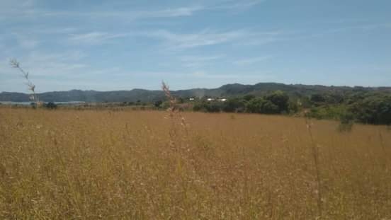 Vente Terrain NOSY BE MADAGASCAR  