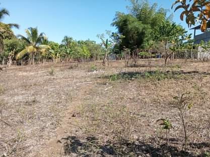 Vente Terrain NOSY BE MADAGASCAR  