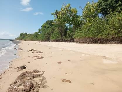 Vente Terrain NOSY BE MADAGASCAR  