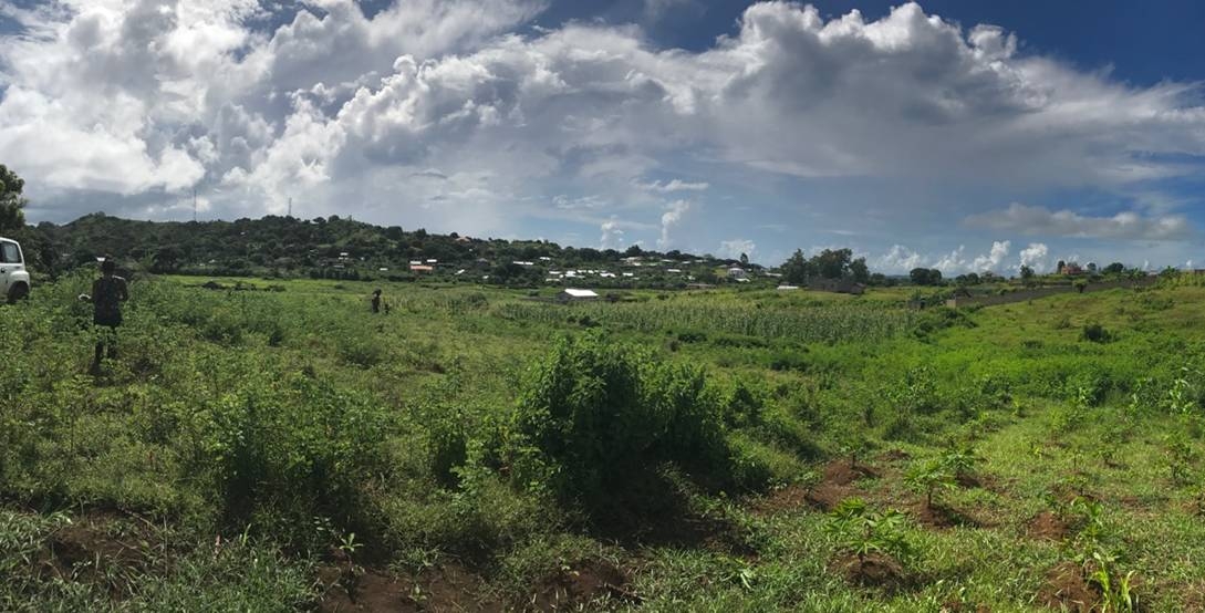 Vente Terrain NOSY BE MADAGASCAR  