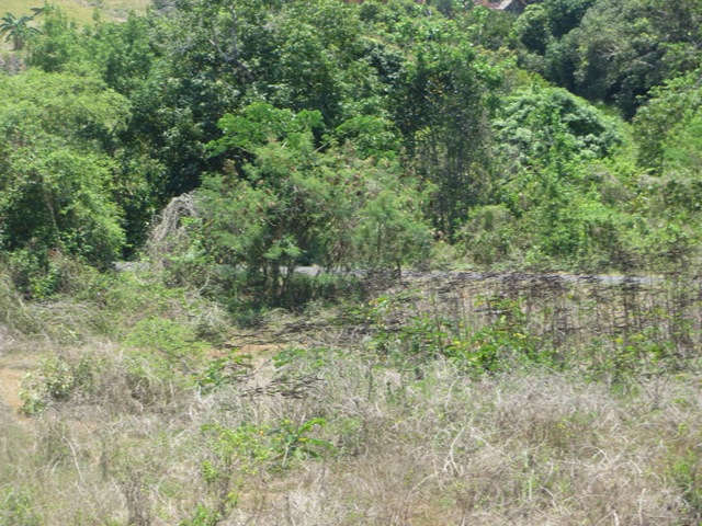 Vente Terrain NOSY BE MADAGASCAR  