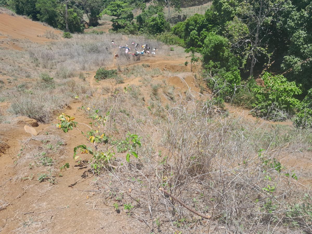 Vente Terrain NOSY BE MADAGASCAR  