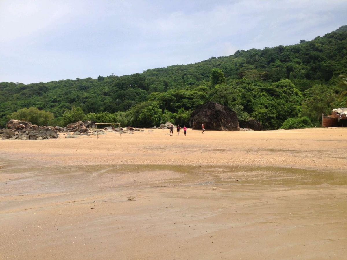 Vente Terrain NOSY BE MADAGASCAR  