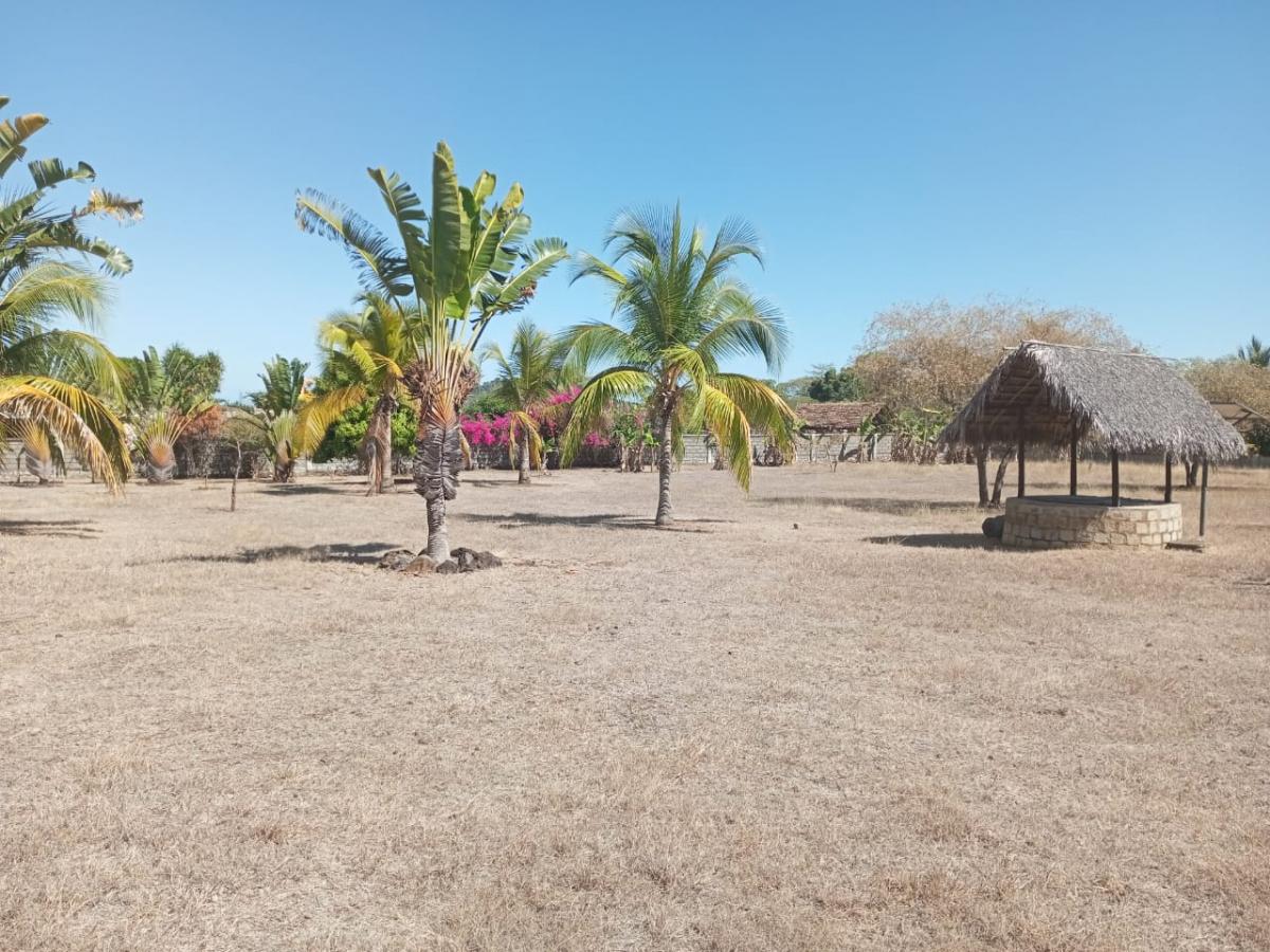 Vente&nbsp;Terrain&nbsp;NOSY BE&nbsp;MADAGASCAR&nbsp;&nbsp;