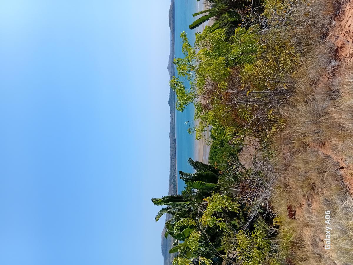 Vente Terrain NOSY BE MADAGASCAR  