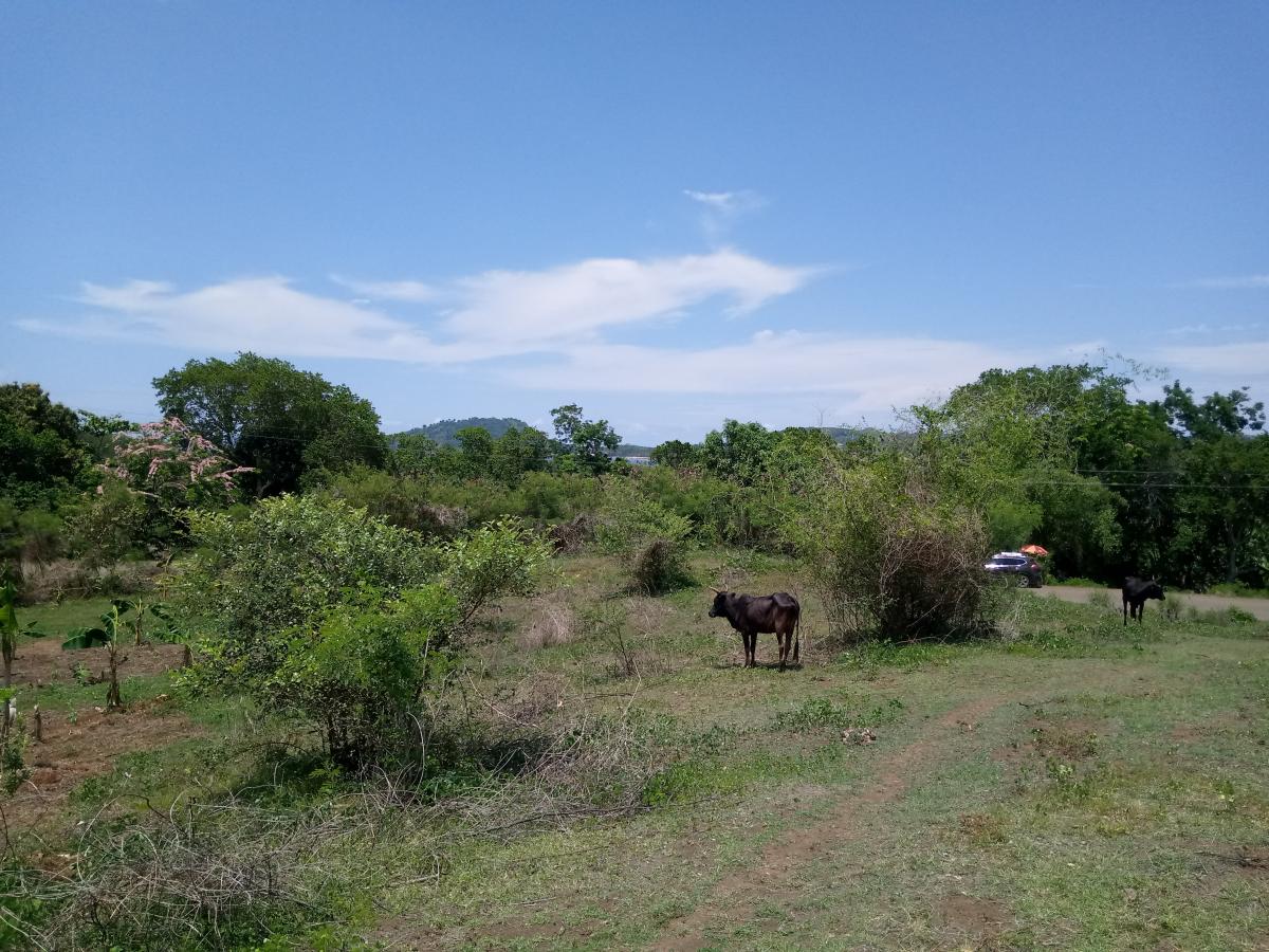 Vente Terrain NOSY BE_MADA MADAGASCAR  