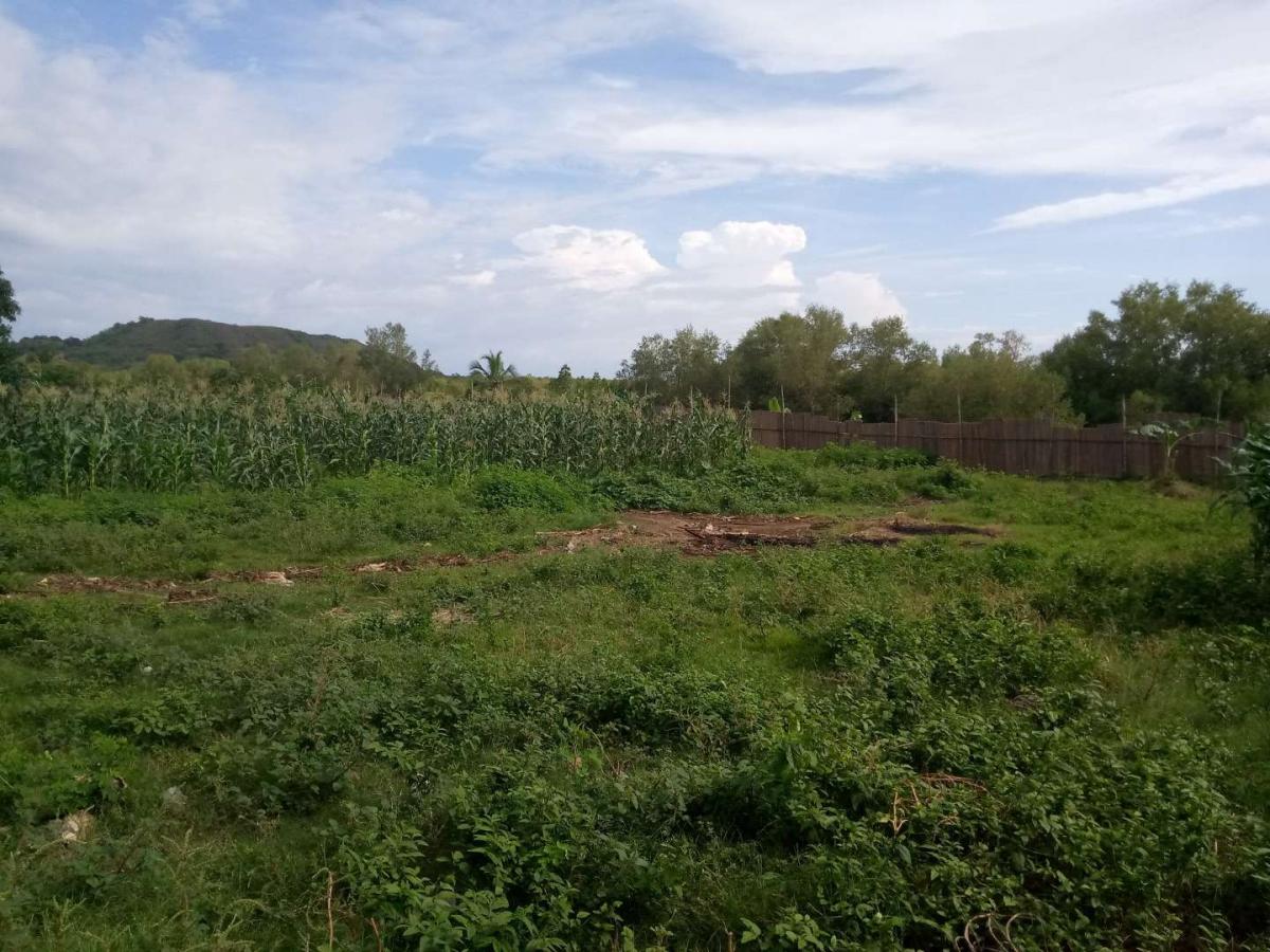 Vente Terrain NOSY BE_MADA MADAGASCAR  