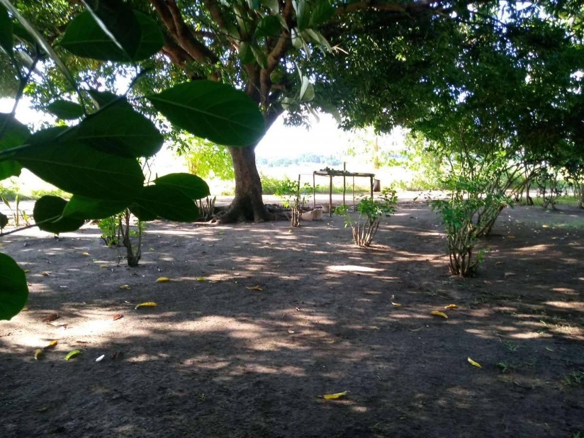 Vente Terrain NOSY BE_MADA MADAGASCAR  