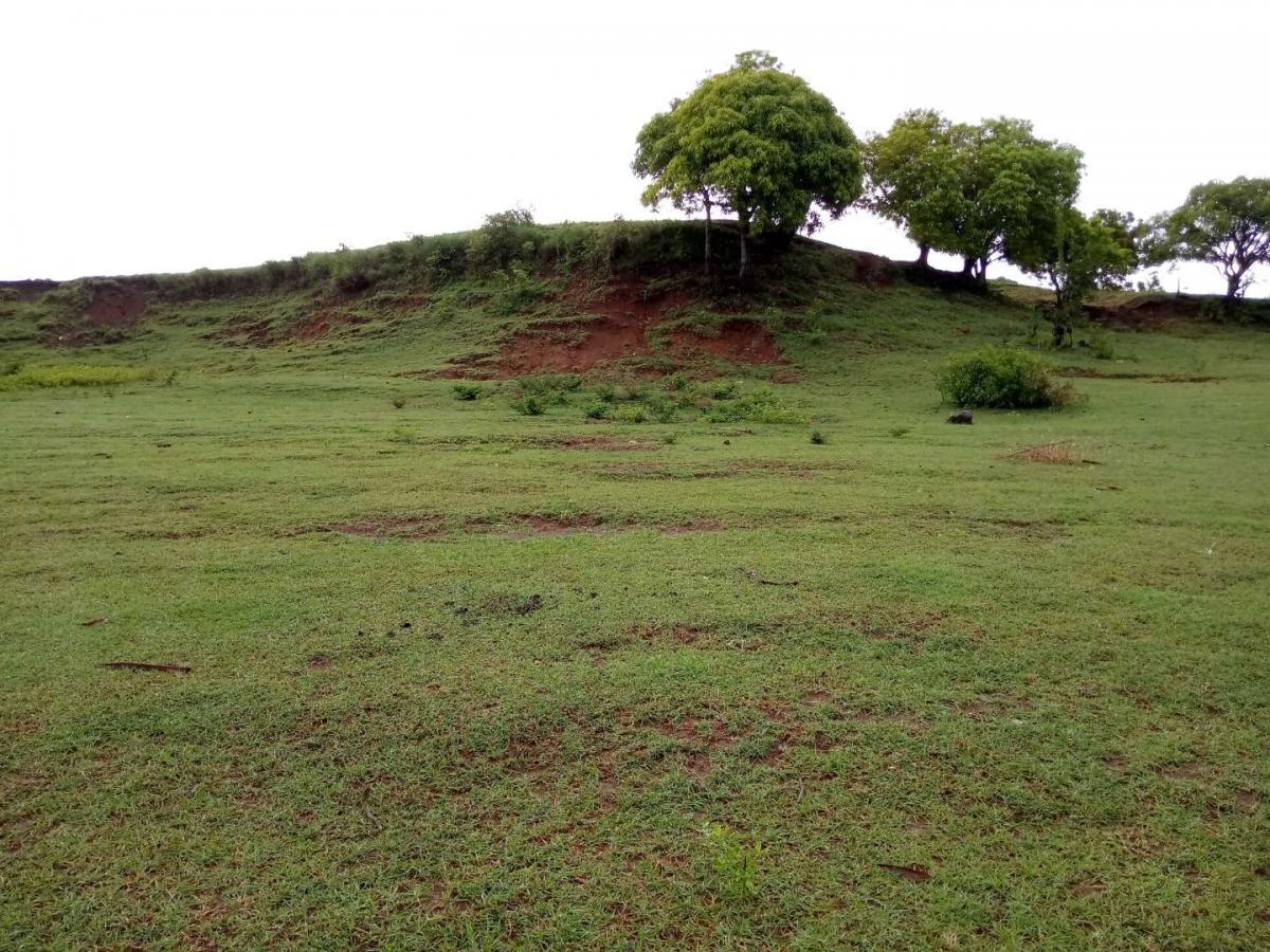 Vente Terrain NOSY BE_MADA MADAGASCAR  