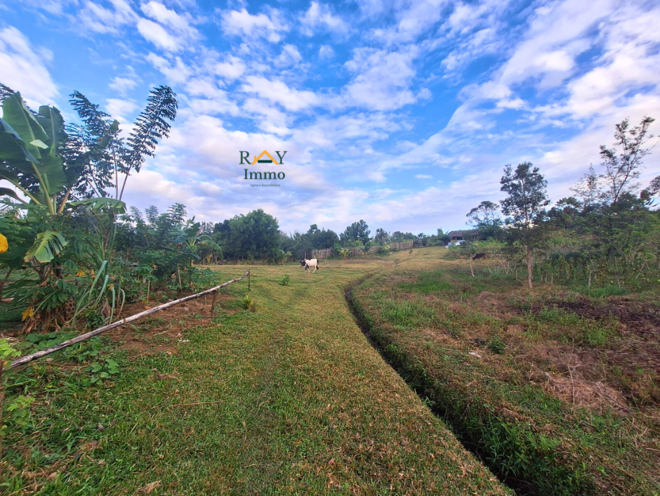 Vente Terrain TOAMASINA - TAMATAVE MADAGASCAR  