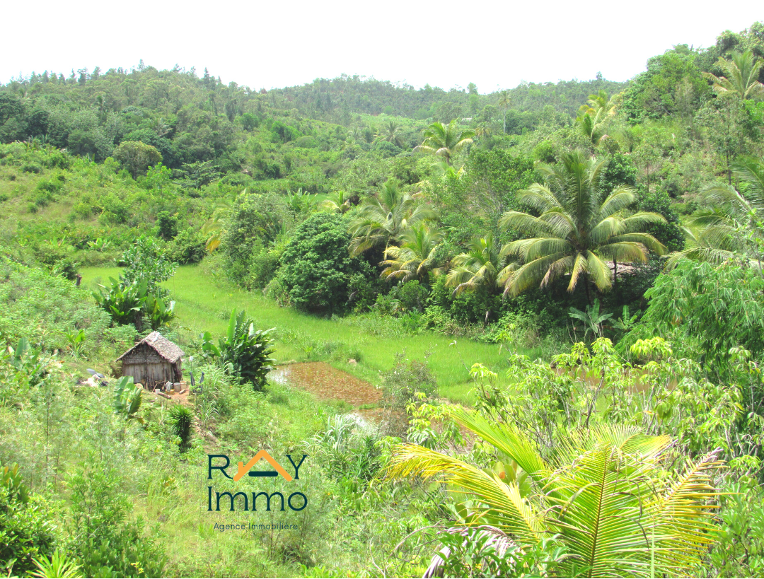 Vente Terrain TOAMASINA -TAMATAVE MADAGASCAR  