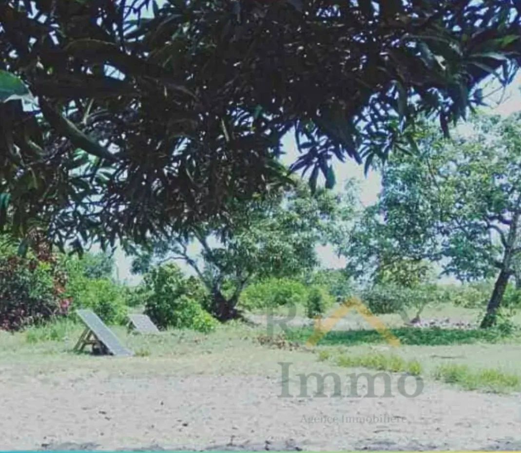 Vente&nbsp;Terrain&nbsp;TOAMASINA&nbsp;MADAGASCAR&nbsp;&nbsp;