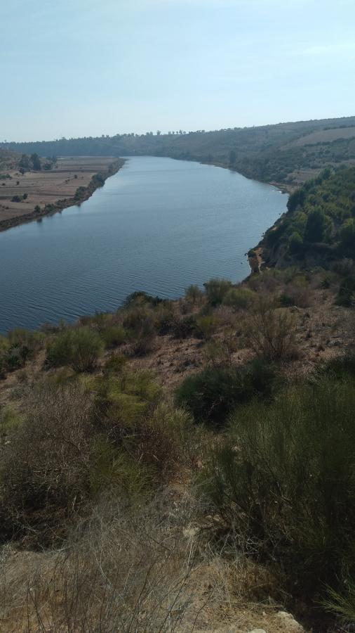 Vente Terrain AZEMMOUR MAROC  