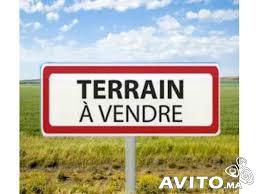 Vente Terrain CASABLANCA MAROC  