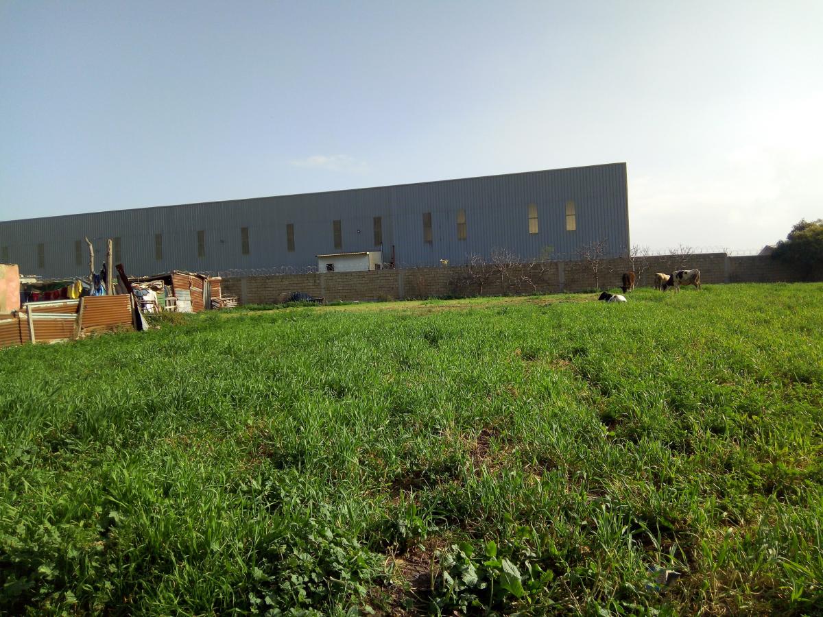 Vente Terrain CASABLANCA MAROC  