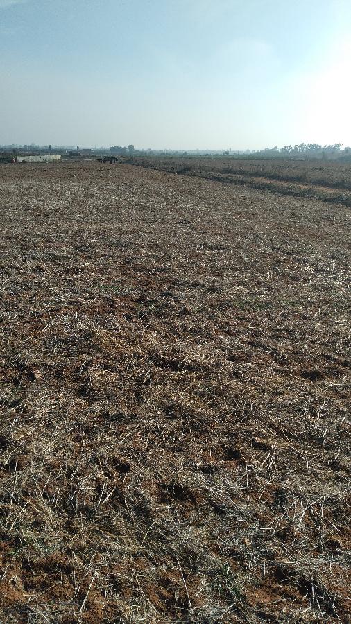 Vente Terrain CASABLANCA MAROC  
