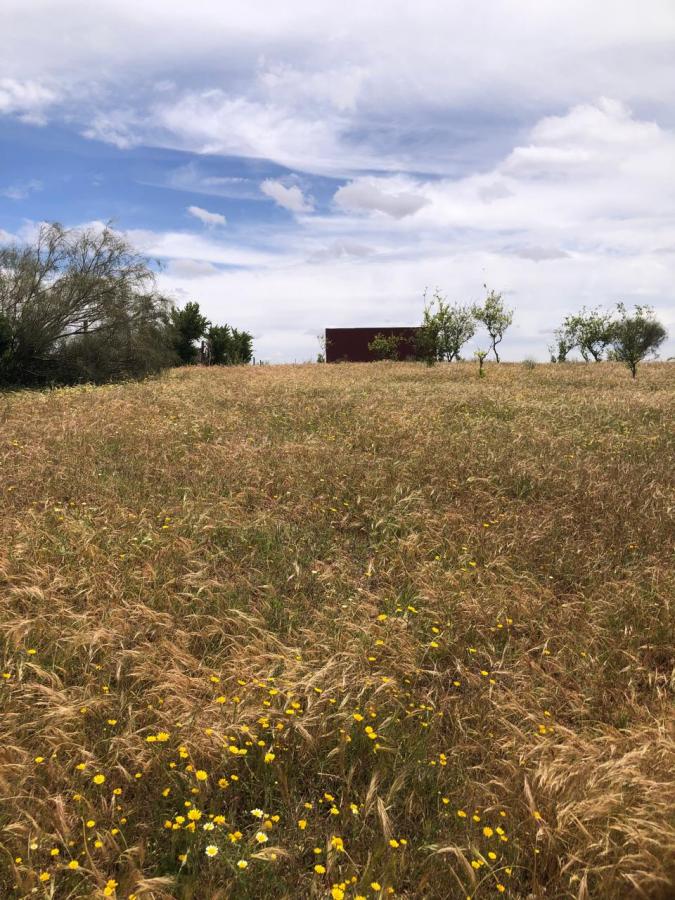 Vente&nbsp;Terrain&nbsp;SIDI ALAL AL BAHRAOUI&nbsp;MAROC&nbsp;&nbsp;