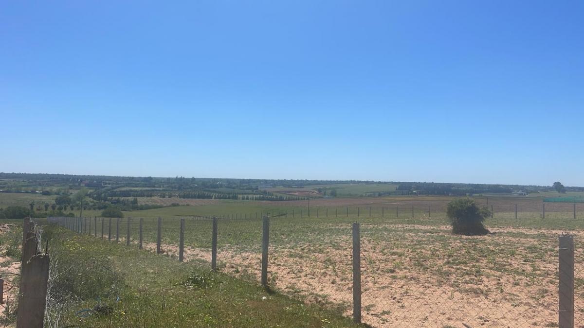 Vente&nbsp;Terrain&nbsp;SIDI ALLAL BAHRAOUI&nbsp;MAROC&nbsp;&nbsp;