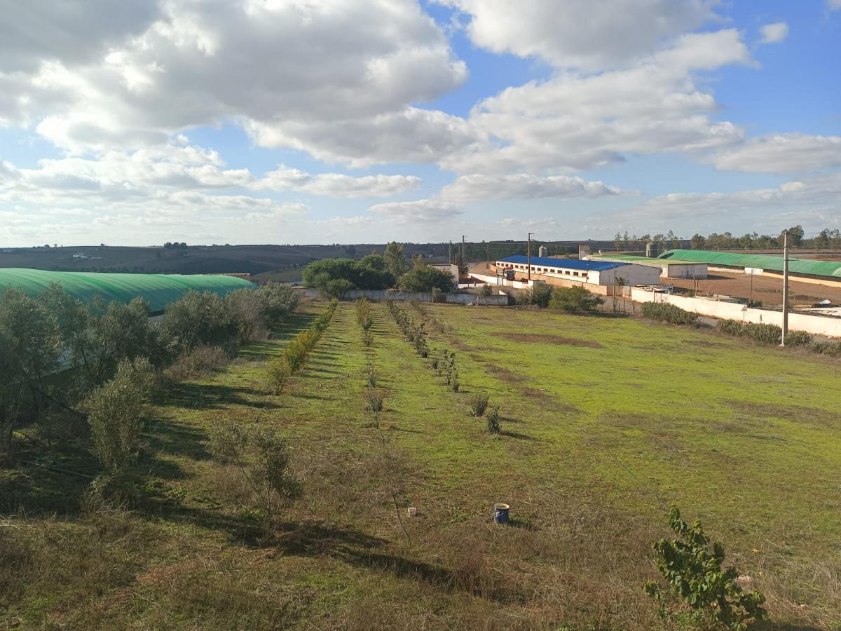 Vente Terrain SIDI YAHYA ZAER MAROC  