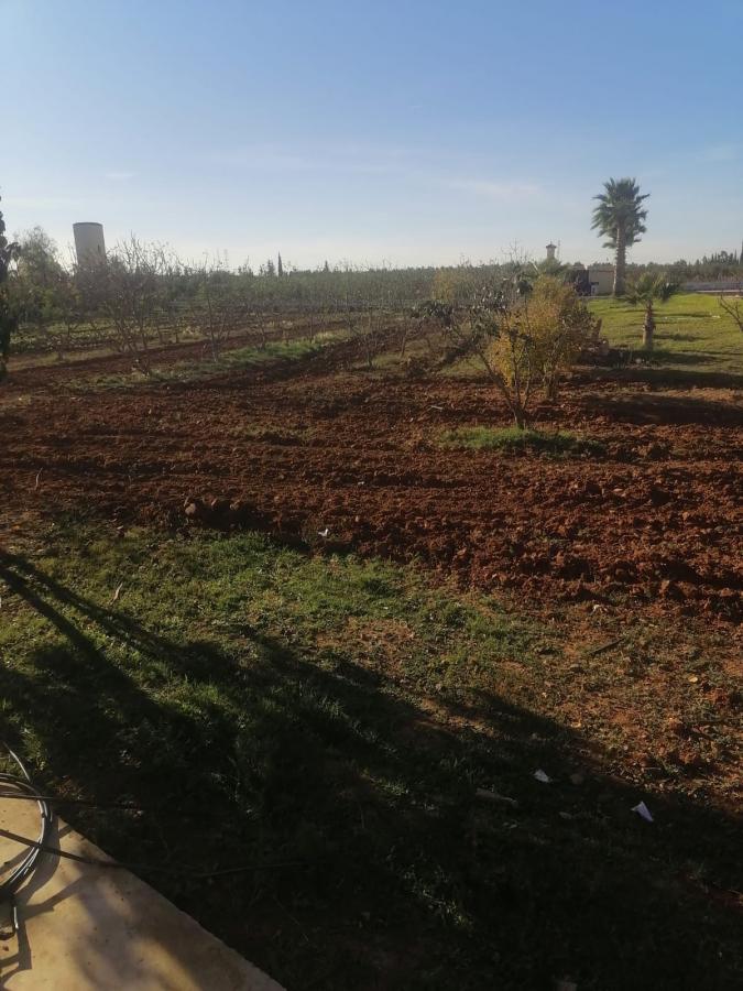 Vente Terrain TIFLET MAROC  