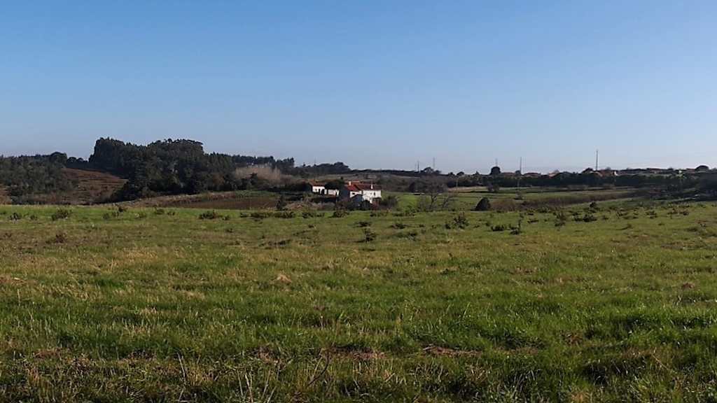 Vente&nbsp;Terrain&nbsp;ALCOBACA&nbsp;PORTUGAL&nbsp;&nbsp;