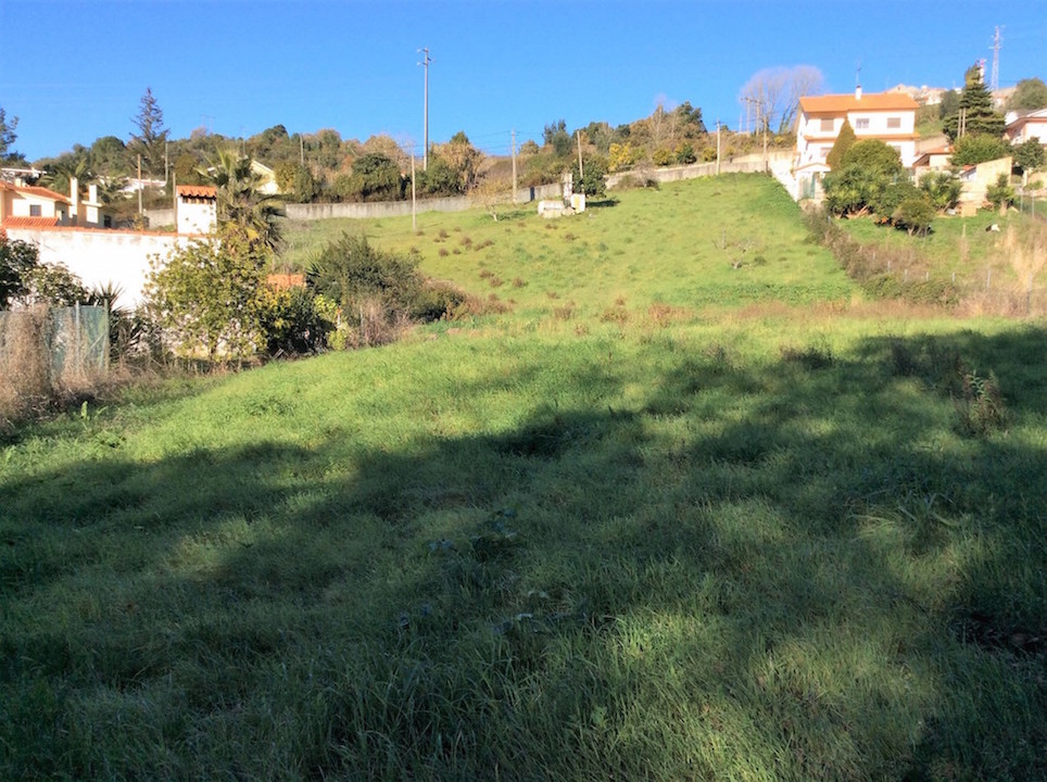 Vente&nbsp;Terrain&nbsp;ALCOBACA&nbsp;PORTUGAL&nbsp;&nbsp;