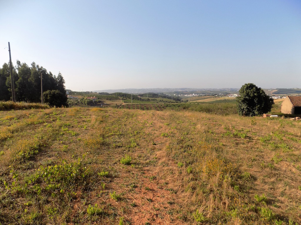 Vente Terrain BOMBARRAL PORTUGAL  