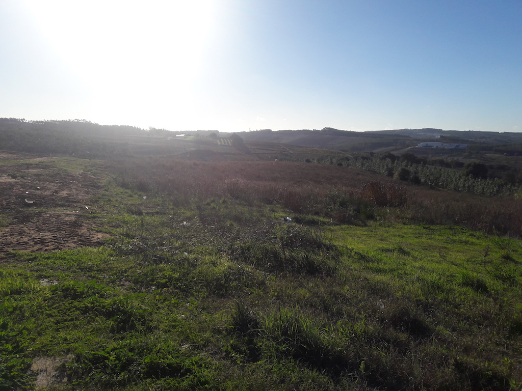 Vente Terrain BOMBARRAL PORTUGAL  