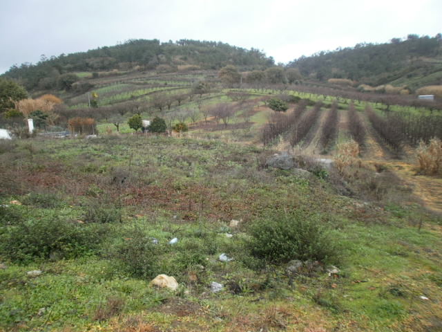 Vente Terrain BOMBARRAL PORTUGAL  