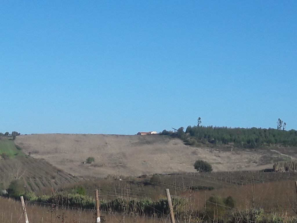 Vente Terrain BOMBARRAL PORTUGAL  