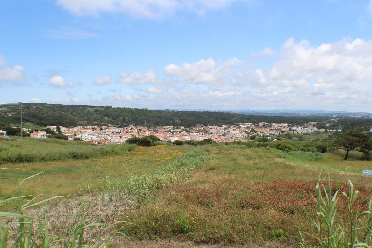 Vente Terrain FOZ DO ARELHO PORTUGAL  