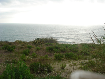 Vente Terrain LOURINHA PORTUGAL  