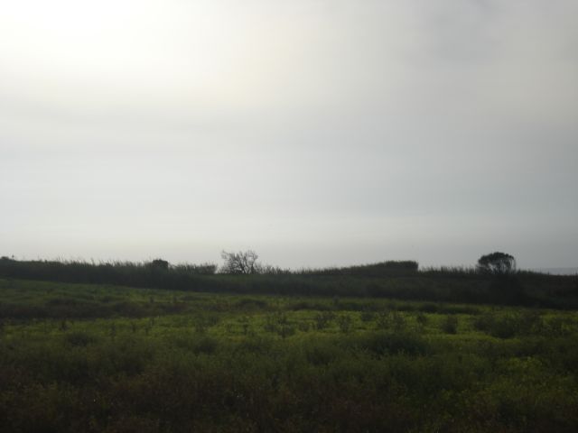 Vente&nbsp;Terrain&nbsp;LOURINHA&nbsp;PORTUGAL&nbsp;&nbsp;