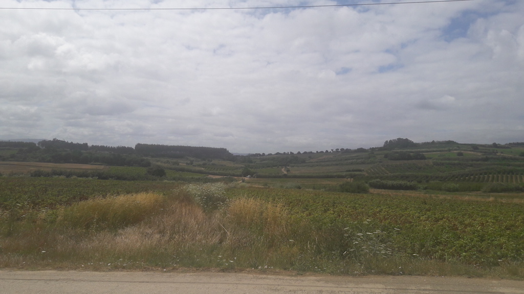 Vente&nbsp;Terrain&nbsp;LOURINHA&nbsp;PORTUGAL&nbsp;&nbsp;