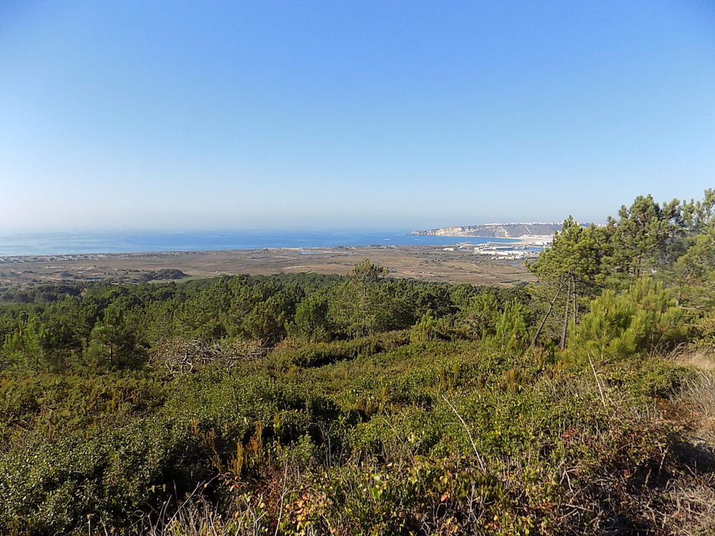 Vente Terrain NAZARE PORTUGAL  