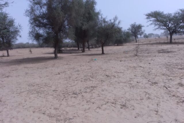 Vente Terrain BABA GARAGE SENEGAL  