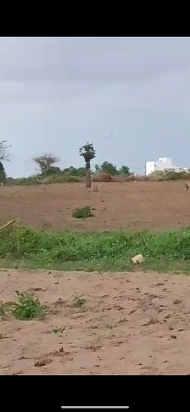 Vente Terrain DAKAR SENEGAL  